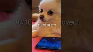 Genshin Impact and OnePlus collab?!