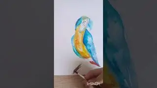 Как нарисовать попугая🐦
