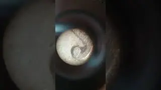 микроскоп 