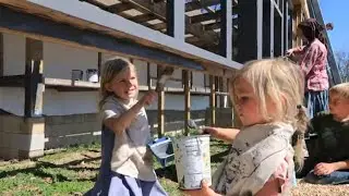 THANKFUL and More Paint For The Greenhouse