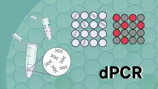 dPCR