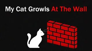 If Your Cat Growls at the Wall… RUN! - Analog Horror
