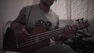Englishman In New York - Bass Guitar Cover ( short version )