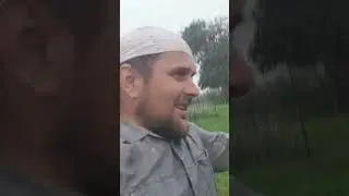 Ветер и дождь #деревня
