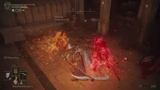 Elden Ring - Your sacrifice was not in vain, my friend.