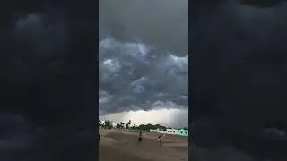 my native ground cool climate sp pattinam