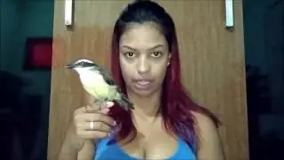 Como eu consegui um BEM TE VI