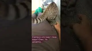 Кто в старости подаст стакан воды..