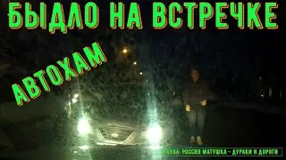 Dangerous driving and conflicts on the road 