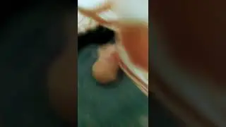моя семечка 🐹🐹🐹🐁🎃🎃🎃👻