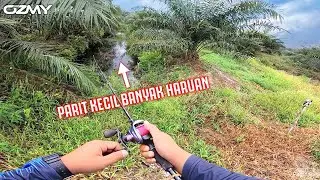CASTING HARUAN LADANG SAWIT