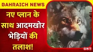 Bahraich Wolf Attack: नए प्लान के साथ वन विभाग कर रहा आदमखोर भेड़ियों की तलाश? देखिए रिपोर्ट