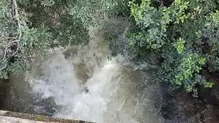 El arroyo del Garciago