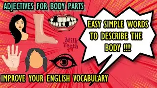 Adjectives for body parts | describing words for parts of the body | English vocabulary for kids
