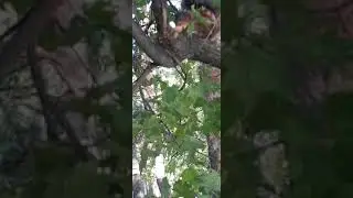 Всё равно спрячу