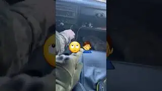 заяц разносит ниву🙈