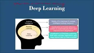 The Science Behind Deep Learning: How Does It Work?