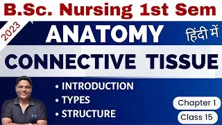 CLASS 16 | CONNECTIVE TISSUE | Unit 1 |B.Sc. Nursing 1st Sem | Anatomy & Physiology