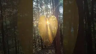 Nature Art #Sunset #Nature Lovers #Gratefulheart #Exercise  after Dinner #Shorts