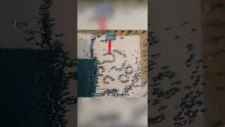 Последний звонок в школе Бином