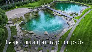 Пруды с самой эффективной системой фильтрации | Болотный фильтр | Люкспруд