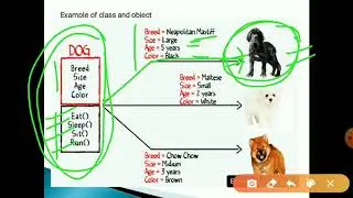 Java Programming-01 OOP's Concepts (part-1) 