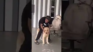 Jonathan playing with max | 
