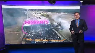 Imigranci na granicy Walaszkowane