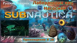 Subnautica! Прохождение с русской озвучкой # 28 ( Исследую Главный изоляционный комплекс)