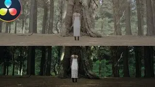 How to get The Ring look | DaVinci Resolve 16 Tutorial
