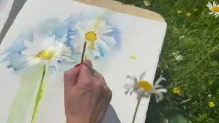 Painting loose watercolor daisies #artteachertips #watercolorpainting #daisy #watercolor
