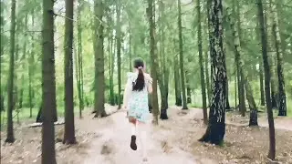 VLOG: В ЛЕСУ🌿🍃