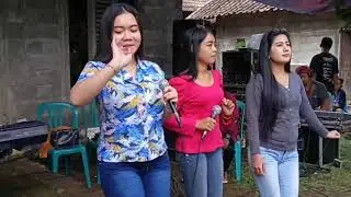 juragan empang all artis  New kelapa // versi latihan
