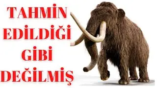 Bilinenden Çok Daha Fazlası Varmış