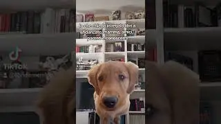 Io che chiedo libri in regalo ad ogni occasione senza vergogna 😂