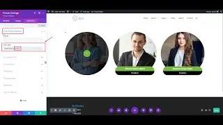 How To Remove Active Hover Effect In The Divi Team Circular Layouts - Divi Layouts