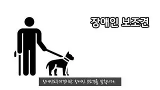 장애인도우미견/장애인식개선/이벤트 참고