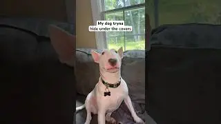 Bro tried to hide 