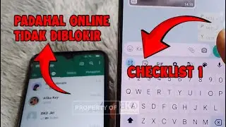 WA Centang 1 Tapi Online dan Tidak di Blokir | Padahal ada Data Internet