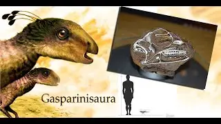 Agatized Mudfossil Gasparinisaura Head, small enough to have been a pet - Found in Washington State