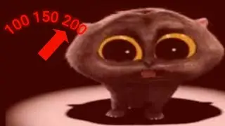 Кот Скэтмэн на большой скорости!