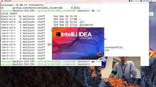 Go programming: debugging, testing and test coverage. Discussion.