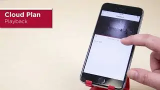 meShare Basic Plan vs Cloud Plan