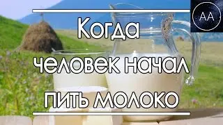 Когда человек начал пить молоко | All About