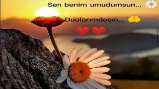 SEN BENİM UMUDUMSUN DUALARIMDASIN SEVDİĞİM