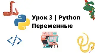 Переменные Python | Урок 3