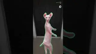 Мяу