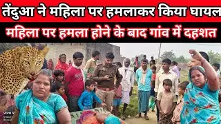 बलरामपुर:घर में घुसकर महिला पर तेंदुआ ने किया हमला