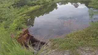 Exploring a Secret Hidden Pond in Wall Township New Jersey