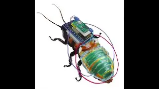 Arduino nano